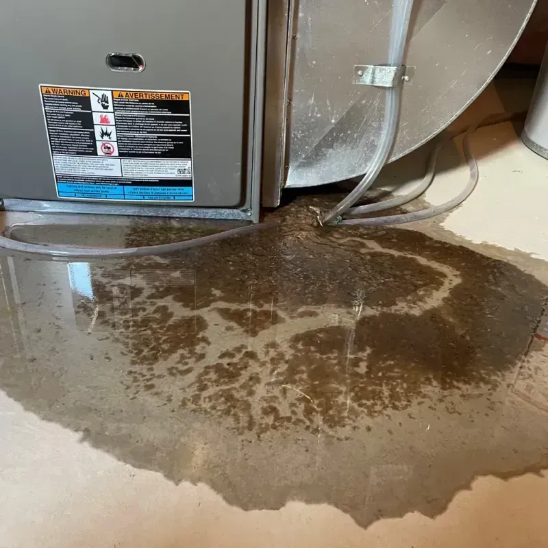 Appliance Leak Cleanup in River Hills, WI